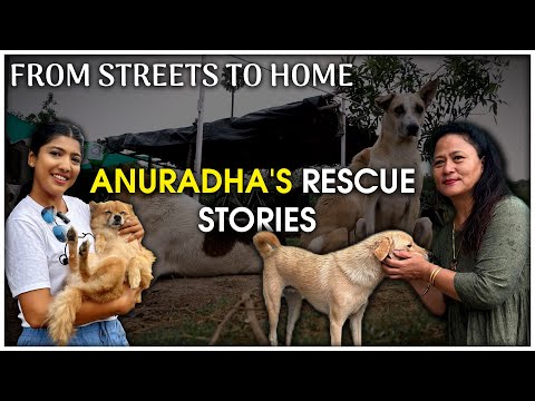 Ankita Sinha Street Dog Rescues by Anuradha Video Story