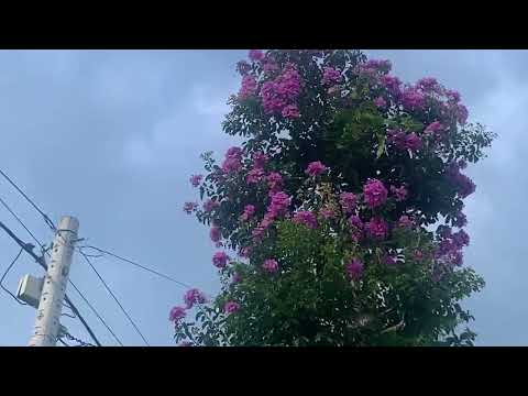 ngày 22 tháng 5, 2023