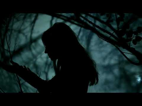 Thumbnail for Seamus Egan Project - John O' Dreams (Bill Caddick) - feat. Moira Smiley by Lucia, Seamus Egan