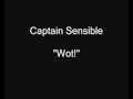 Captain Sensible - Wot [HQ Audio]