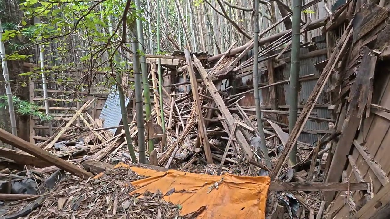 【期間限定配信】たぶんみかん農園跡地