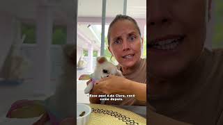 A EVOLUÇÃO DOS CACHORROS #cachorro #pets