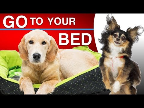 gorilla dog beds coupon code
