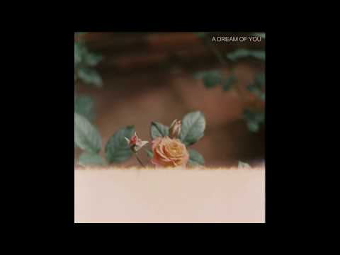 Far Caspian - A Dream of You