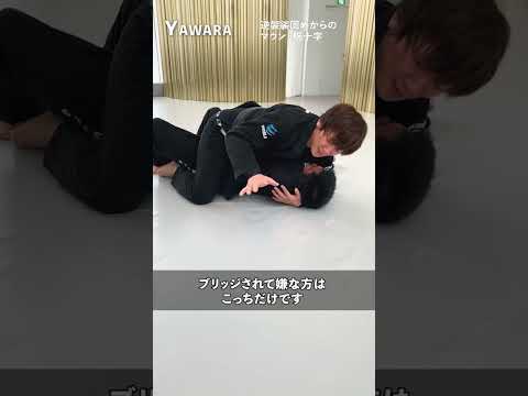 【使えます】逆袈裟固めからのマウント腕十字  #yawara柔術アカデミー #ブラジリアン柔術 #柔術世界チャンピオン