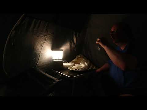 MongoTV_5541 - Min Aftensmad - Del 3 - DANISH MUKBANG - PEBER HAKKEBØFFER Med KARTOFFELMOS-BRUN SOVS