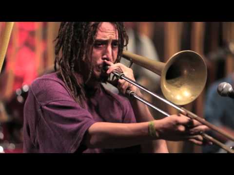 The Chicken - Jam no Mam