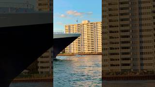 Rotterdam 🛳️ #like #share #comment #subscribe #cruiseship #cruise #vacation #shorts #short #youtube
