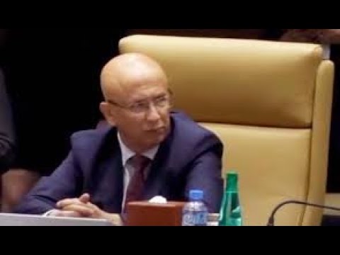 ما مدى صحة اشاعة حول هروب الجنرال يوسف الى اسبانيا ؟