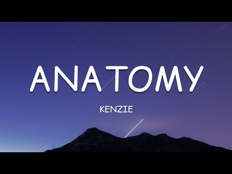 kenzie - anatomy (Lyrics)🎵