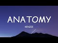Kenzie Anatomy Lyrics