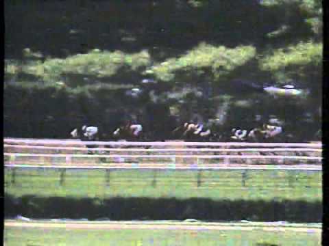 1988 Mother Goose S. -- Goodbye Halo