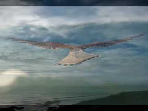 AZIMUTH -  Linha do horizonte