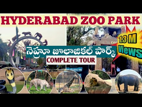 Nehru Zoological Park Hyderabad |Complete Tour | Safari | JPSarva Yatra