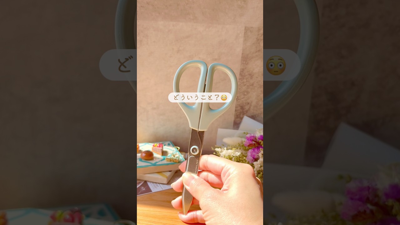 シール作りにも🤍なんでもサクサク！神ハサミ