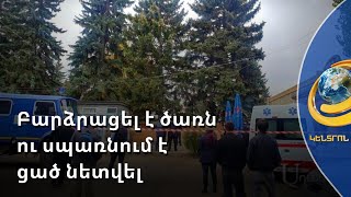 Գյումրիում մի տղամարդ բարձրացել է ծառն ու սպառնում է ցած նետվել