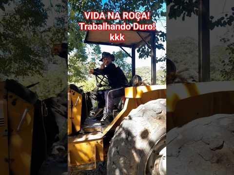 Riacho da Ponte em São Romão Mg #vidanaroça #praiasdonordeste #pecuarista #sitio