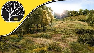 Video thumbnail 6