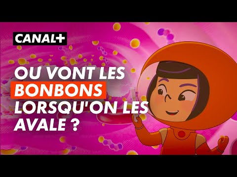 Voyagez au centre du corps humain avec Pomme, Fix et Kidi ! Kididoc sur CANAL+kids