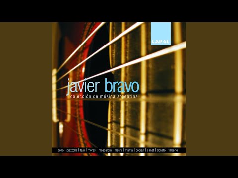 Pájaros en el Monte