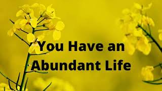 Part 3 (3) You Have An Abundant Life