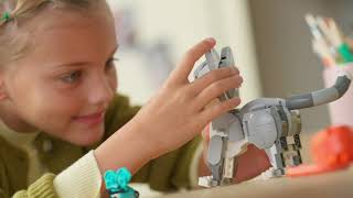 LEGO® Creator 3v1 31163 Hravá kočka