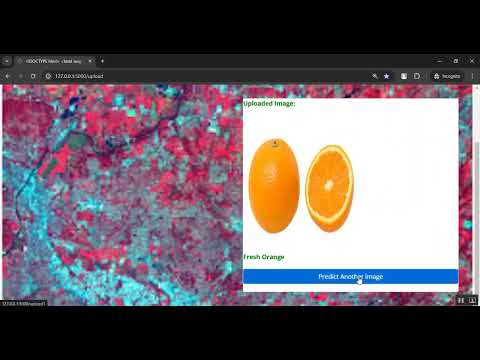 Fruit Disease Classification using Apple and Orange in Python Projects
