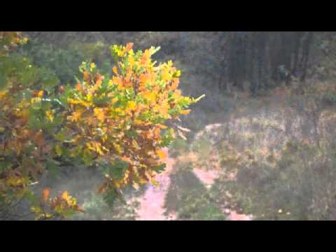 Serradica di Carlo Cavalletti