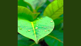 Download lagu Surga Ditelapak Kaki Ibu mp3 Download lagu Surga Ditelapak Kaki Ibu mp3