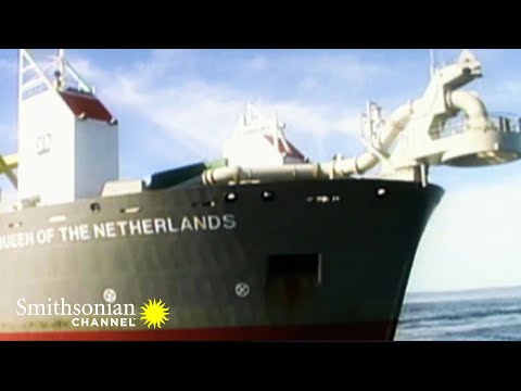 Needle-in-a-Haystack Ocean Search Yields Results for Flight 111 Air Disasters | Smithsonian Channel