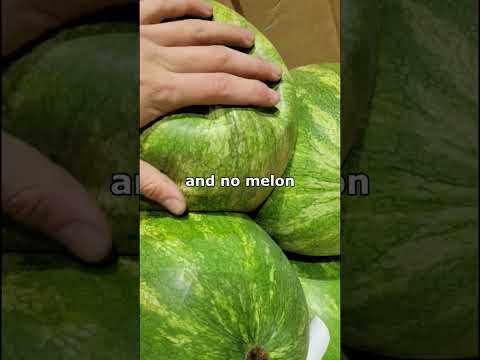 Watermelon without the melon
