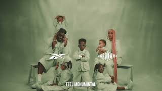 Reebok CHUKWU: the family SegMINT