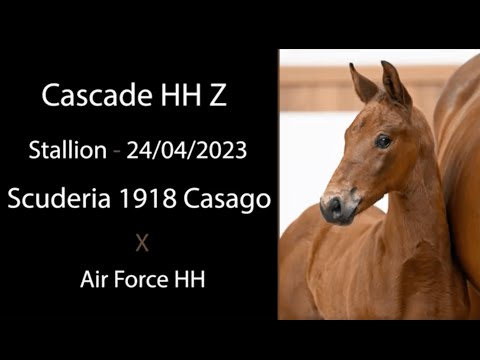 Cascade HH Z