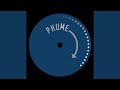 Hector Zazou & Harold Budd's Pandas In Tandem (Phume Remix)