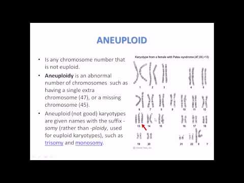 What is aneuploidy