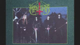 MARDUK "Materialized in Stone" ´94 (SWE).