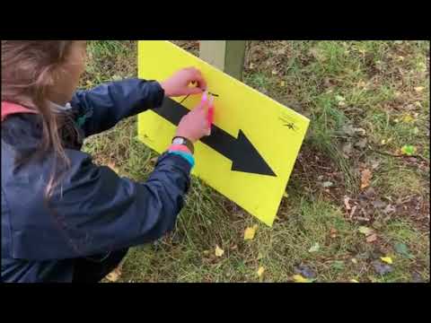 UK van life trip to marshal at the Suffolk Back Yard Ultra October 2020