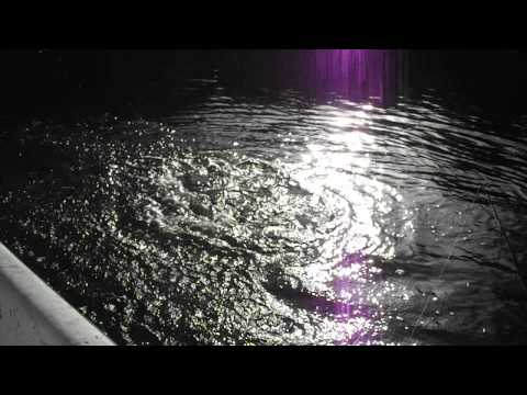 Mike's Barracuda 001