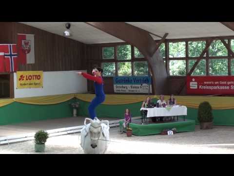 CVI Krumke 2013 - Sarah Kay Technik