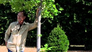 SEND ME THE PILLOW YOU DREAM ON