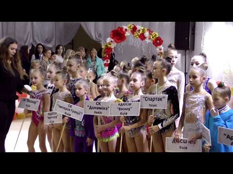 Парад відкриття та нагородження гімнасток 2013–2006 р.н. кат. С, В та А