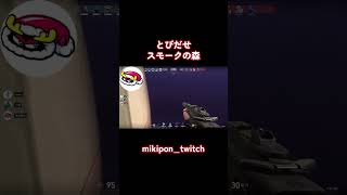 とびだせスモークの森#valorant #valorantclips