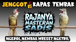 Download lagu Jernih banget !! MASTERAN CUCAK JENGGOT VS KAPAS TEMBAK FULL DURASI mp3