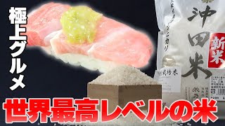 【世界最高レベル】天栄村の金賞米で極上グルメをいただきます！