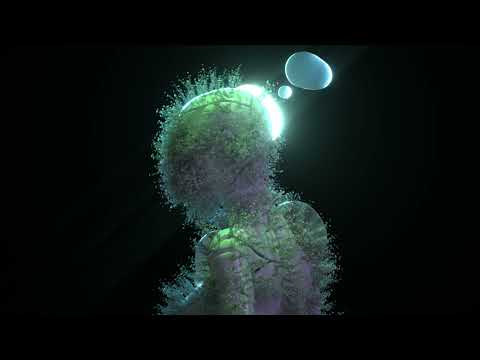 Animal Picnic - We Are One