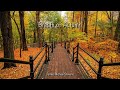 Breath of Autumn - Organ Solo