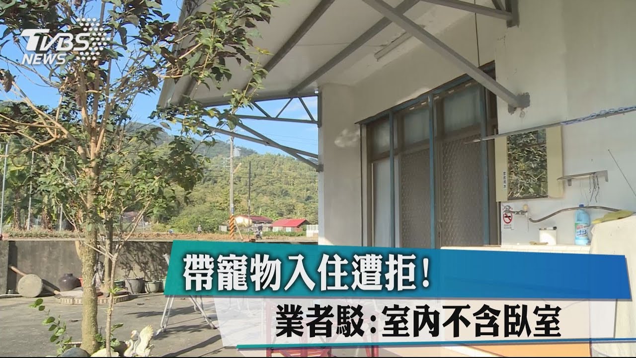 帶寵物入住遭拒! 業者駁:室內不含臥室