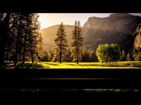 Jasir El Dusari - SURJA ET-TEUBE | SURAH AT-TAWBAH [9]