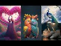 Beautiful Birds Dp Photo Birds Images Birds Wallpapers Birds Love Dpz Birds Birdsdpzanimal