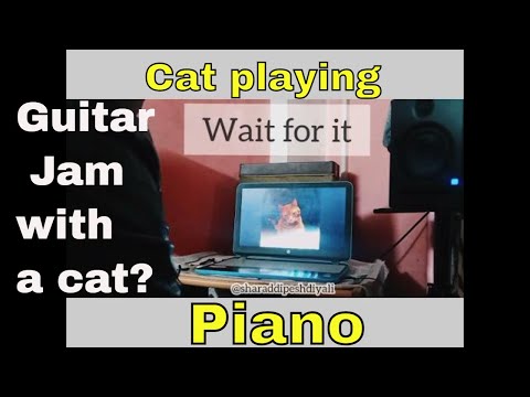 Cat playing Piano ft. Sharad Dipesh Diyali